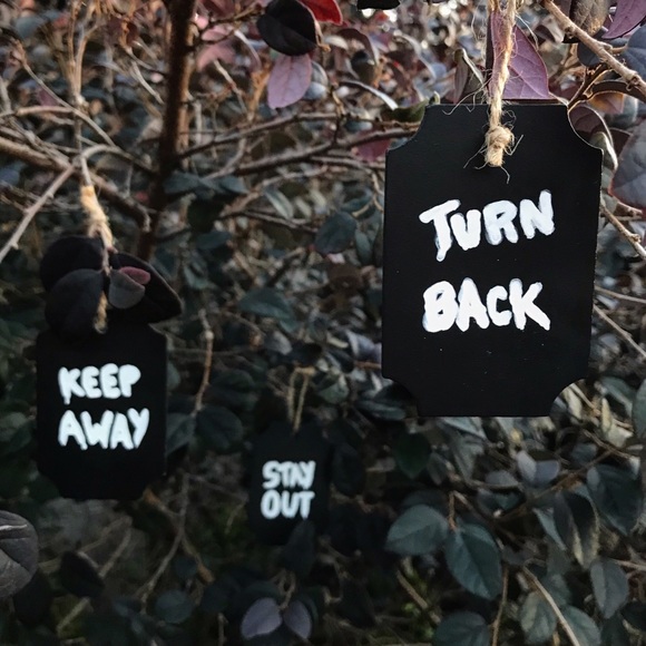 Add Me - Picture 4 of 7